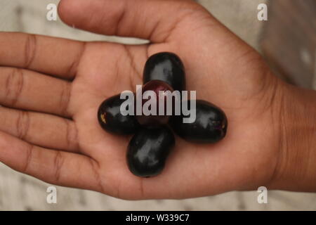 blu berry fruit must poisonous Stock Photo