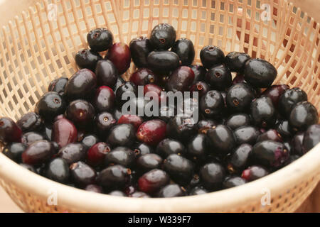 blu berry fruit must poisonous Stock Photo