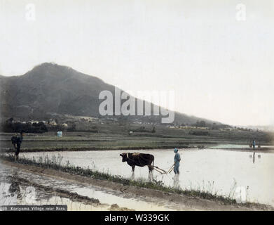[ 1890s Japan - Japanese Farmer Plowing a Rice Field ] — Farmers are ...