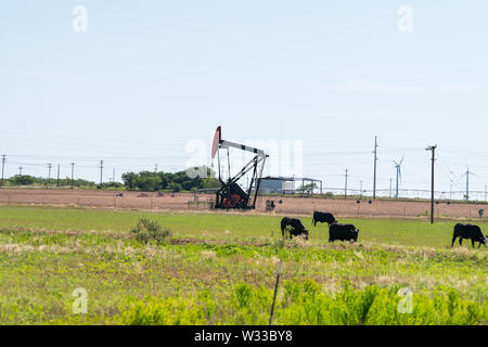 Pumpjack on oilfields in prairies of Snyder, Texas with machine pumping oil and cows grazing Stock Photo