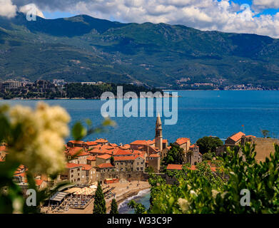 Aerial view of Budva Old Town with the Citadel and the Adriatic Sea in Montenegro on the Balkans with flowers in bokeh in the foreground Stock Photo