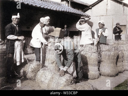 [ 1900s Japan - Japanese Workers Packing Rice ] —   Rice cultivation in Japan: Packing rice. This image comes from “The Rice in Japan,” published in 1907 (Meiji 40) by Kobe based photographer Teijiro Takagi.  13 of 19  20th century vintage collotype print. Stock Photo