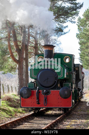 Restored steam engine (the Bon-Accord) running on a section of the Royal Deeside Railway near Banchory on Deeside, Scotland Stock Photo