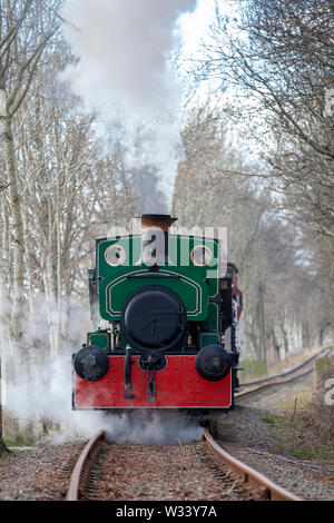 Restored steam engine (the Bon-Accord) running on a section of the Royal Deeside Railway near Banchory on Deeside, Scotland Stock Photo