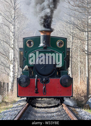 Restored steam engine (the Bon-Accord) running on a section of the Royal Deeside Railway near Banchory on Deeside, Scotland Stock Photo