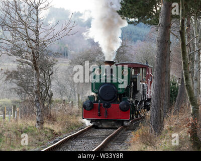 Restored steam engine (the Bon-Accord) running on a section of the Royal Deeside Railway near Banchory on Deeside, Scotland Stock Photo