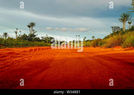 Empty African road in the wild desert Stock Photo