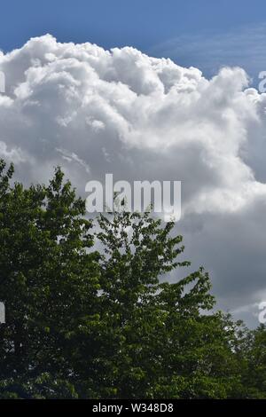 White cummulus  clouds on a bright blue sky  summers day Stock Photo
