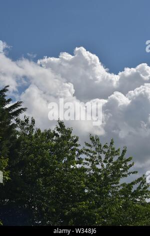 White cummulus  clouds on a bright blue sky  summers day with treetop in foreground Stock Photo