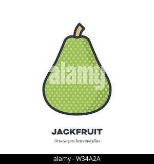 Jackfruit icon, outline with color fill style vector illustration Stock Vector