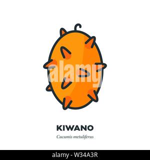 Kiwano or horned melon fruit icon, outline with color fill style vector illustration, Stock Vector