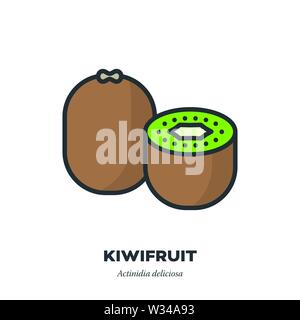 Kiwi fruit icon, outline with color fill style vector illustration, half and whole fruit with leaf Stock Vector