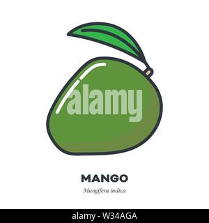 Mango fruit icon, outline with color fill style vector illustration, whole fruit with leaf Stock Vector
