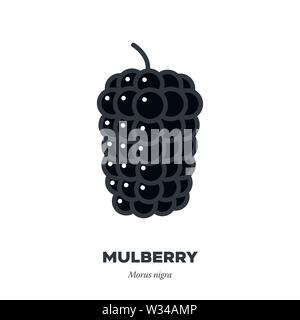 Black mulberry fruit icon, outline with color fill style vector illustration Stock Vector