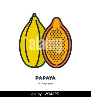 Papaya fruit icon, outline with color fill style vector illustration, whole and halved fruits Stock Vector