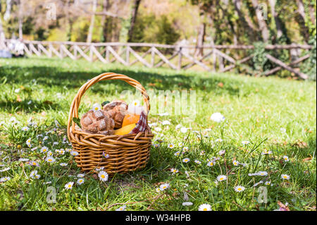 Lunch in the park on the green grass. Summer sunny day and picnic basket. Copy space Stock Photo