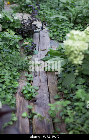 Mysterious secluded path from old wooden planks in a garden among flowers and grasses Stock Photo