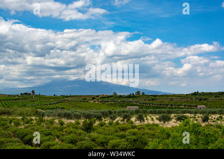 Landscape with orange and lemon trees plantations and view on Mount Etna, Sicily, agriculture in South Italy Stock Photo