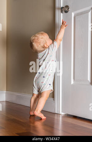 Young baby just able to walk reaching up for the door handle on wooden floor Stock Photo