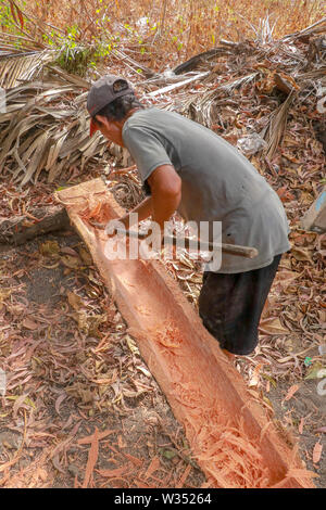The worker manually processes the tree trunk and gouges with a simple trough tool. Heavy and demanding work with freshly cut trunk Stock Photo