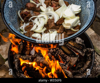 White onions and roasted pieces of beef hang in a pot over an open wood fire for the preparation of kettle goulash. Stock Photo