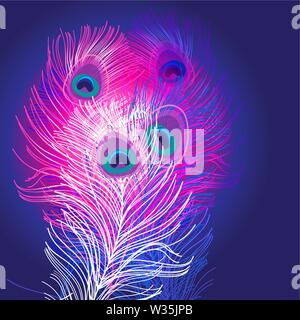 Bright beautiful vector peacock feathers on a purple background. Feather template for design postcard or business card. Stock Vector