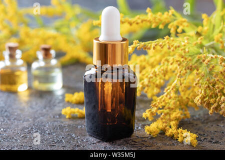 A bottle of Canadian goldenrod essential oil with fresh blooming Solidago canadensis Stock Photo