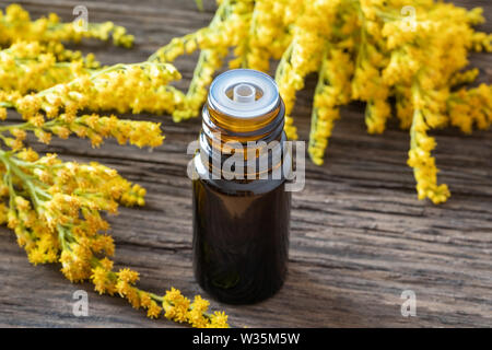 A dropper bottle of Canadian goldenrod essential oil with fresh blooming Solidago canadensis plant on a wooden background Stock Photo