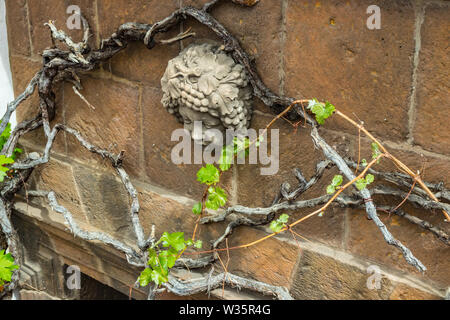 Gypsum bas-relief of the god of wine on a sand stone wall surrounded by branches of an old thick vine with young shoots with bright green leaves. Stock Photo