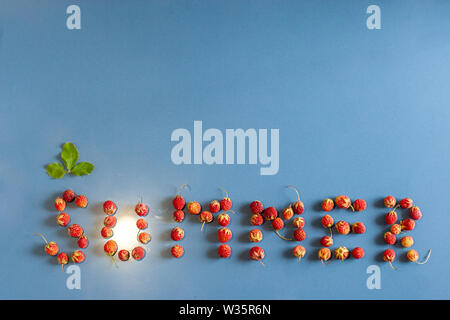 The inscription summer lined with strawberries on a ceramic tile with a dust texture. A leaf above the letter C. Light from a light bulb like the sun Stock Photo