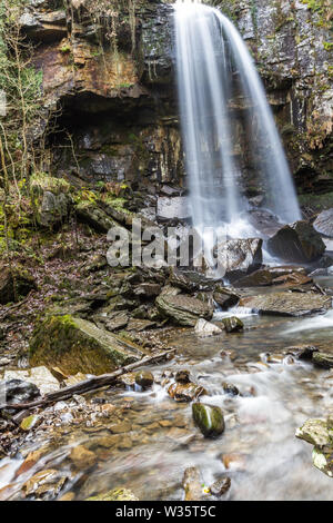 Melincourt Water Fall in full February flow, portrait Stock Photo