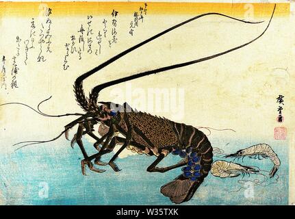 Iseebi, ise-ebi 伊勢海老 (Crawfish, Japanese Spiny Lobster) Ebi 車海老 (Shrimp, Prawn) Utagawa Hiroshige woodblock print from Uozukushi Every Variety of Fish Stock Photo