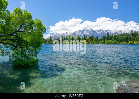 Tree on shore of Lake Wakatipu with mountains in background, Queenstown, South Island New Zealand Stock Photo
