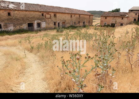 Lomeda, Soria, Spain. 12th July, 2019. View of ruined abandoned houses in the small village of Lomeda, in the northern Spanish province of Soria.The population density in this area rounds to two inhabitants per square kilometer, similar to extreme regions such as Lapland or Siberia. Credit: John Milner/SOPA Images/ZUMA Wire/Alamy Live News Stock Photo