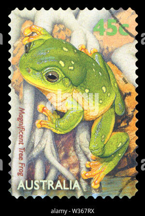 AUSTRALIA - CIRCA 1999: A stamp printed in Australia shows Magnificent Tree Flog, circa 1999. Stock Photo