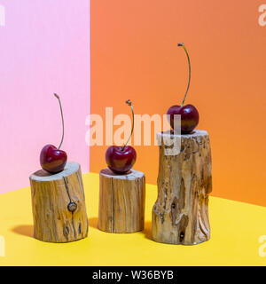 Three cherries on small wooden stumps eaten by bark beetle on bright pink, yellow and orange backdrop.  Stock Photo