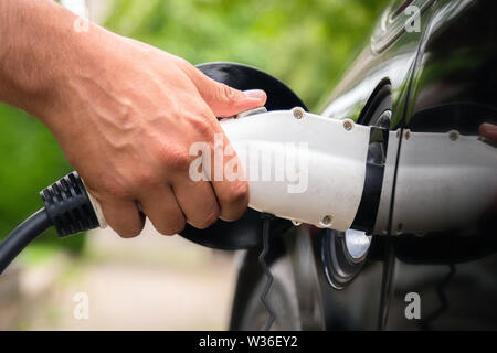 Mans hand inserting charger plug into electric car in green environment background. New energy vehicle, NEV is being loaded with electricity power. Ec Stock Photo