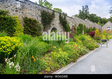 One of the well filled and colourful summer borders at Bodnant Gardens, Conwy, Wales, UK Stock Photo