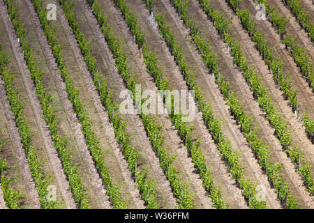Chinon, France. Picturesque aerial view of a Chinon vineyard, in the vicininty of Rue des Quinquenays. Stock Photo