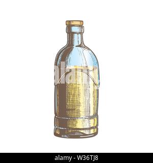 Color Closed Standard Drink Tequila Glass Bottle Vector Stock Vector
