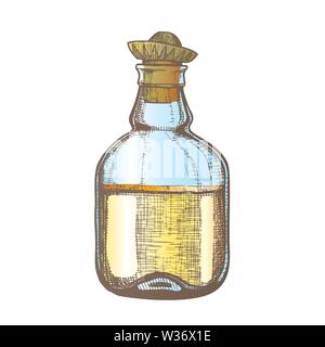 Color Design Blank Tequila Bottle Mexican Hat Cap Vector Stock Vector