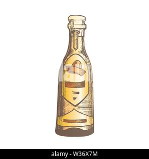 Color Traditional Mexican Tequila Drink Bottle Vector Stock Vector