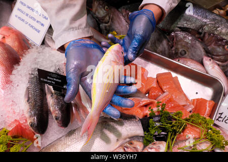 Person wearing rubber gloves serving in Cardiff Central Market E. Ashton Fishmongers selling fresh fish in Cardiff City Centre Wales UK. KATHY DEWITT Stock Photo