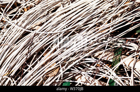 lots of cords lying on the ground Stock Photo