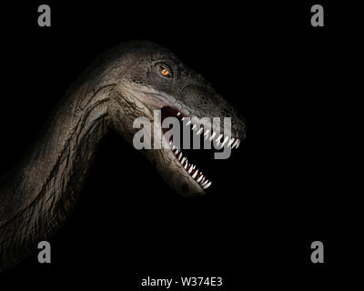 muzzle of a dinosaur close-up on a black background Stock Photo