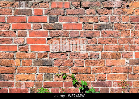 Background from an old red brick wall with some green leaves Stock Photo
