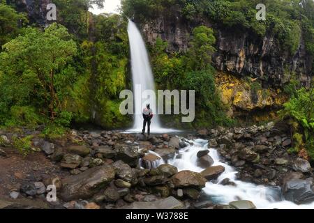 Mountain river among the green Carpathian forest on a bright sunny day.  4704139 Stock Photo at Vecteezy