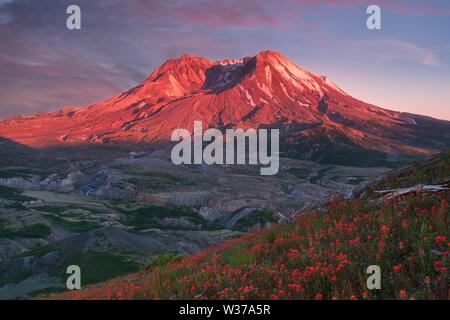 The breathtaking views of the volcano and amazing valley of flowers. Harry's Ridge Trail. Mount St Helens National Park, South Cascades in Washington Stock Photo
