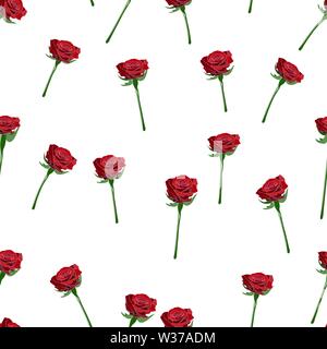Vector seamless pattern with red rose button on the stem and branches on a white background. Stock Vector