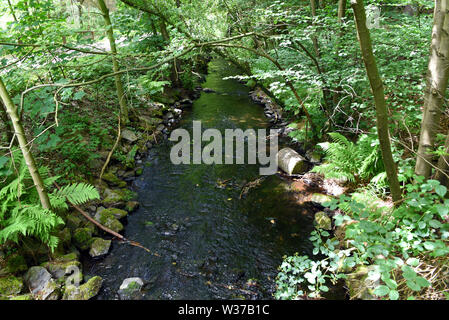 Remscheid, Germany. 10th July, 2019. The Eschbach, with which the Eschbach dam was dammed, after the dam. The Eschbach dam, which was opened in 1891, is the first drinking water dam in Germany. Credit: Horst Ossinger//dpa/Alamy Live News Stock Photo